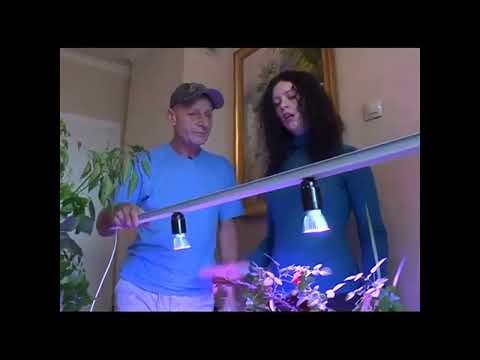 Подсветка растений. Фито -лампа своими руками