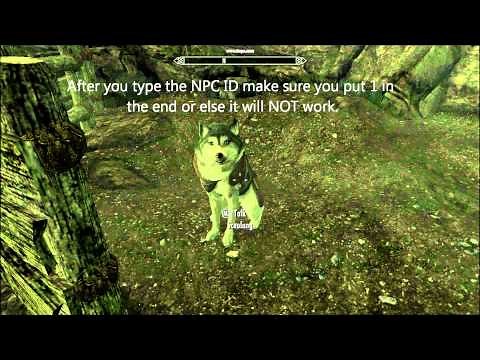 Skyrim: (PC Only) How To Make Any NPC Immortal