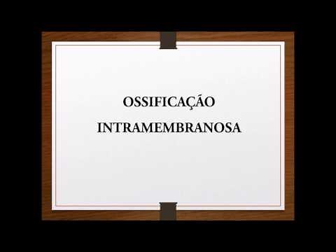 Histologia ossificação intramembranosa.