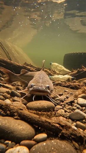 🔥 7 SECRET Fish BITE BAITS That GUARANTEE Catches! 🎣