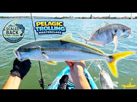 Botany Bay Kayak Trolling - Part 1 - Pelagic Masterclass Session! 🎣🛶