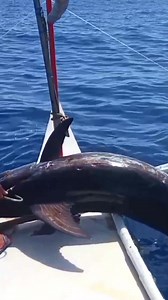 Grabe kalaki ah-ah! Swor fish hunting🎣 | Ernie.Official