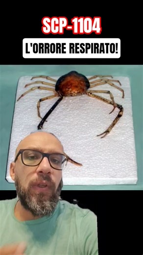 SCP-1104 Ti sei mai chiesto perché hai SEMPRE mal di TESTA? Forse non è solo STRESS!