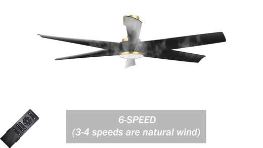 Breezary Hector II 52 in. Covered Outdoor Standard Black Flush Ceiling Fan with LED Light, Black Blade and Remote Included 24023-AB