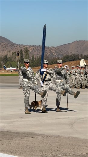 Cristian Felipe Stein | Lo más tierno que verás hoy 🐕🐾🫡 #fach #dogslife #dog #doglovers | Instagram