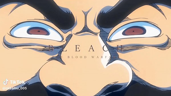 Bleach 2024: The Thousand-Year Blood War Edits