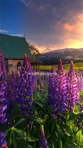 Jeene Laga Hoon Pehle Se Zyada ❤️ | Romantic Status Edit | Atif Aslam | Lofi + Reverb