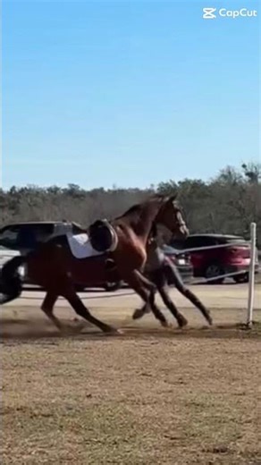 Glad your still breathing kristin @That_One_Swedish_girl (Tag not working)