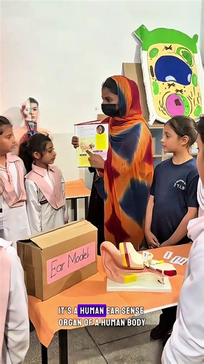 Today our young learners of “3ISA” explored the topic “Human Ear” through an interactive classroom activity. With the teacher’s guidance, students watched a video to understand how sound travels through the ear and learned about the different parts of the ear. They also practically labeled the ear model and shared the names of its parts, making the lesson more engaging and memorable. Such hands-on learning helps students understand concepts better and enjoy the learning process. 👂📚✨ #ear #anat