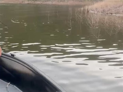 Lake Baccarac on Instagram: "When the grind pays off… a pair of personal bests for Phil and Jon on the @swimbaituniverse group fishing with Señor Manuel - coming out of retirement to show the young guns how to do it! @bullshad_swimbaits burrito @pizzswimbaits runt @stumpf_bigguns_fishing ⬆️⬆️⬆️ got all the big bites ⬆️⬆️⬆️ ••••••• • Spacious air conditioned rooms • Luxury bathrooms • Fully stocked pro shop • Customized fishing boats • Delicious meals • Bottomless margaritas and cervezas • GIANT 