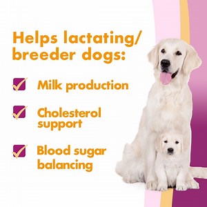 17 reactions · 18 shares | Our pregnant and lactating furbabies need extra special care. That’s why Dextrolyte Lacta is specially formulated with the right balance of Electrolytes and other nutrients essential for lactating or breeder dogs. After all, healthy moms = healthy pups!  To order, send us a PM or shop for our complete doggie care line at doggiessentials.com.ph!  | Yum Yum Dog Food | Facebook
