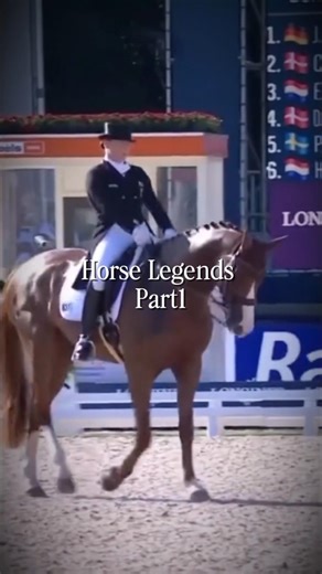 Horse Legends Part 1 #besthorse #legend #edit #horse #horseracing