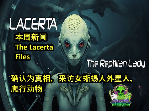 the lacerta files 已被证实为事实，采访了女性爬行外星人。UFO UAP 外星人飞碟 飞船 飞碟 不明 draco reptilian