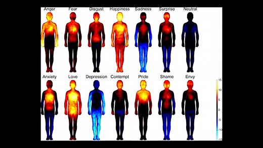 Broken heart syndrome explained in 10 minutes
