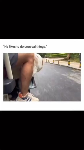 🐶 on Instagram: "Funny compilation 😂 #dogsofinstagram #doglover #doglife #funnyvideos #puppylove #fyp #viral #funny #funnydogs #cutedog #fypppppppppppppppppppppppppppppppppppppppppppppppppppppppppppppppppppppp"