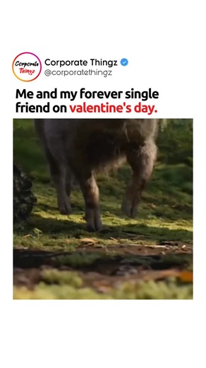 Corporate Thingz on Instagram: "When Valentine’s Day comes and you and your bro act like it’s just a normal day… but deep inside you know 😔😂 Single. Stable. Surviving. [singles, valentines day, single life, forever single, relatable, funny reel, meme reel, corporate memes, friendship, bro code, lonely, humor, instagram reels, viral reel, trending reel, funny video, relationship meme, single mood, comedy reel, relatable content, office humor, introvert life, meme content, social media reel, vir