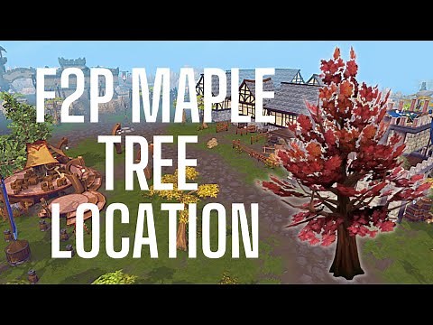 Maple Trees F2P Location | RuneScape 3 | 2022