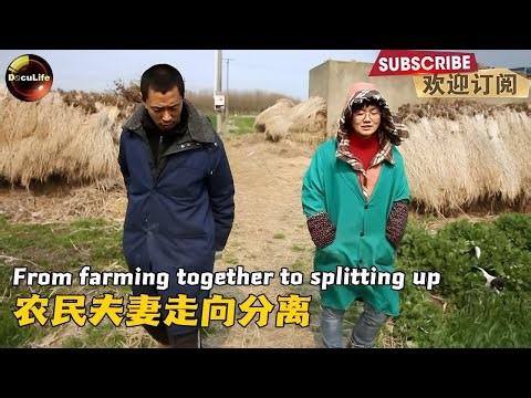 From farming together to splitting up: What went wrong for this couple?从搭伙种地到分手，这对农民夫妻经历了啥【DocuLife】