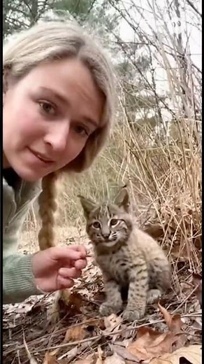 Rescuing a Helpless Baby Bobcat from the Woods