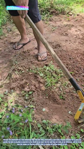 Landscaping Effortlessly: The Power of Manual Weeding Tools