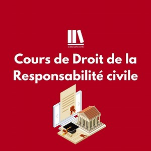 Cours de droit de la responsabilité civile | Aideauxtd.com