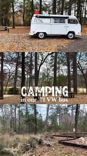 BrewDub ✌🏼 VW Adventures on Instagram: "Pine trees, Texas air, and the slam of a bay window slider shut for the night 🌲 Camped out in Davy Crockett National Forest, cooked some simple food, and slept with the poptop open. This is our kind of reset. 🚐 Have you camped in your VW in Texas? #vwbus #westfalia #baywindow #camping #vanlife"