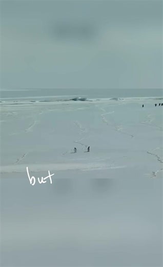 Embrace Individuality with Nature: Cody Maverick Insights