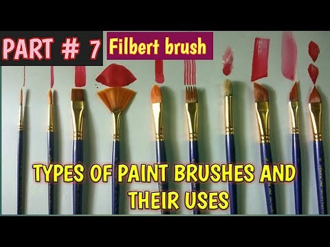 Types of paint brushes and their uses part -7 || Filbert brush
