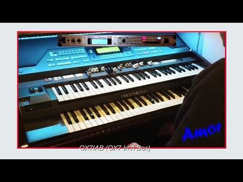 Hammond XE200 + Wersi OX7 Samples