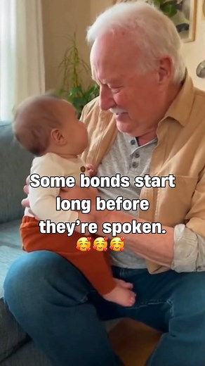 Some bonds start long before they’re spoken | Hedonist Spirit
