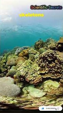 How Our CO2 is DISSOLVING The Ocean #Science