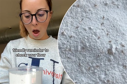 TikTokker discovers bugs in her flour — here’s how to prevent it
