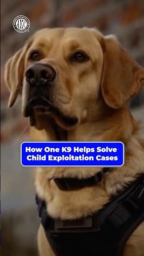 How One K9 Helps Solve Child Exploitation Cases