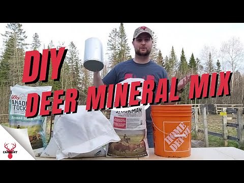 DIY Deer Mineral Lick - CanHunt