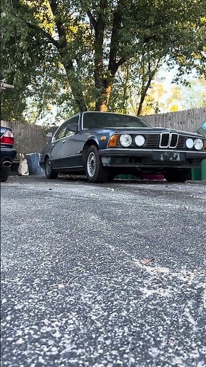 Abandoned BMW 745i burnout after 19 years. #automobile #bmw #abandoned #745i #projectcar #e23