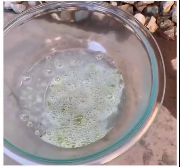 Piranha Solution can rapidly decompose almost every form of organic matter