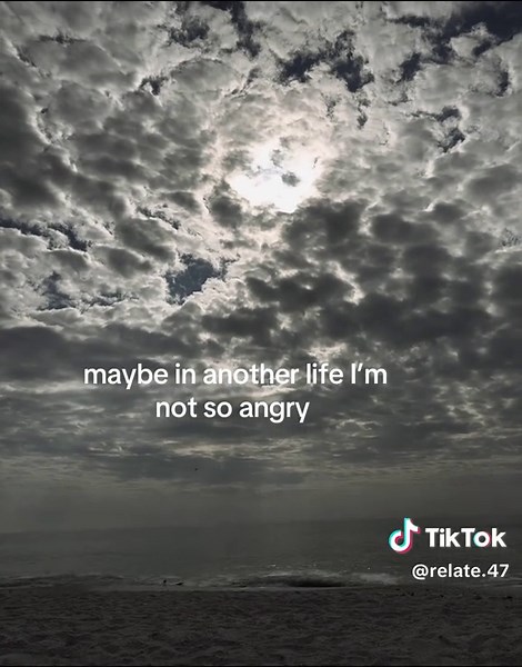 Understand My Anger: A Dog's Perspective