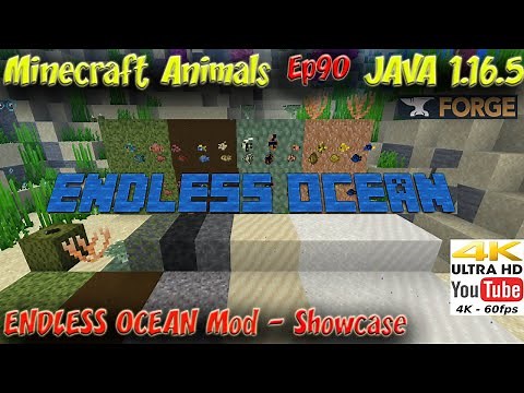 Endless Ocean Mod 1.16.5 Showcase Minecraft 1.16.5 Minecraft Animals Ep90