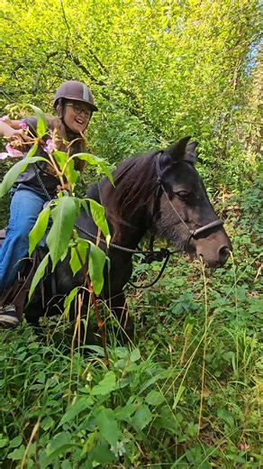 16K views · 279 reactions | Update video on bitless solo trail...