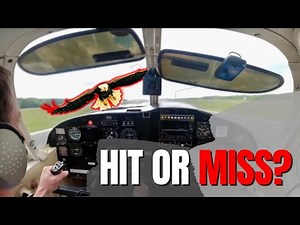 BIRD STRIKE Awareness and AVOIDANCE: SAFETY Guide