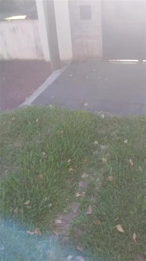 Técnicas de Patear Portones para Ti