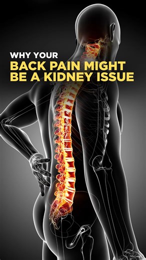 Back pain isn’t always just a muscle problem - your kidneys could be the cause. Watch for persistent pain, foamy urine, or swelling, and get tested early to protect your kidney health. Save this if it helps you or someone you know! #KidneyHealth #BackPain #KidneyCheck #HiddenCauses #EarlyDetection | Kidney Health MD | Facebook