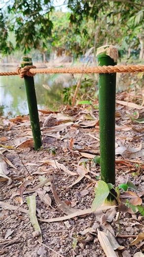 Popular Constrictor Knot Tutorial -Step by Step For Beginner's 🔥