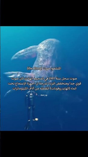 #history #like #معلومات_عامة #Hevi_xp