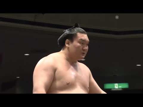 Day 1 Clash Begins! Epic Honbasho Sumo Battle You Can’t Miss