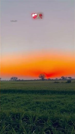 Dil sada bhi Tut gya sajna hundua krr ki jag na chut java 😔😞😔