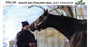 Route des Étalons 2024: le Haras de la Tuilerie, avec Pretty Tiger