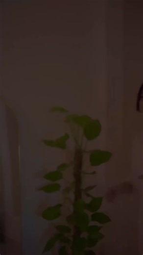 Fun Get Ready With Me Day