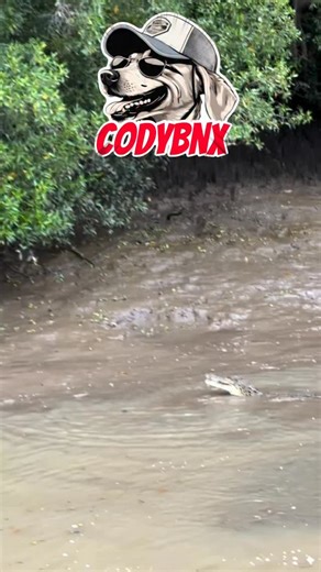 7.9K views · 10K reactions | Let’s play hide and seek | codybnx | Facebook