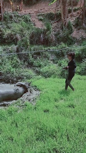 2.5M views · 10K reactions | I'm not going home.朗 #im #Not #GOING #home #funny #viralreels #love #fun | Forest Raider | Facebook